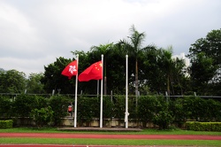 DSC 0042