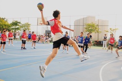 DSC 0071 (2)