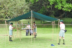 carlton2012 1 (100)