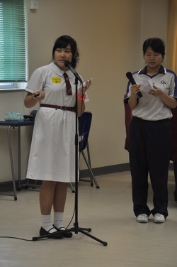 DSC 0011