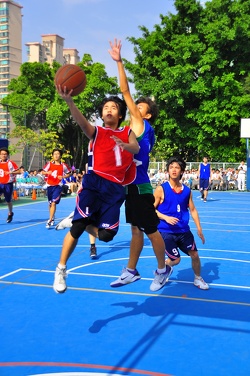 DSC 0445
