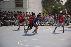 DSC 8219
