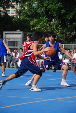 DSC 9866