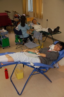 捐血日