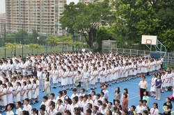 DSC 0095