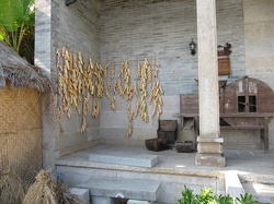 IMG 0045