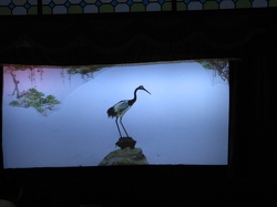 IMG 0061