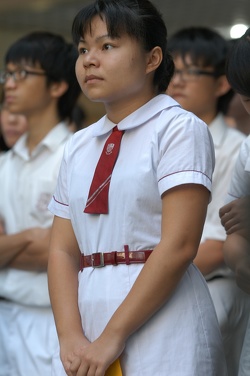 AY06 0060