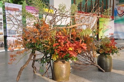 DSC 0438