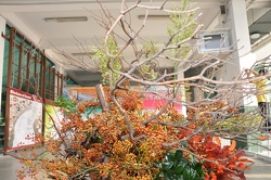 DSC 0439