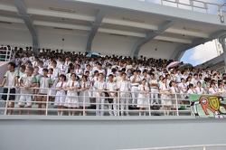 FK1 016