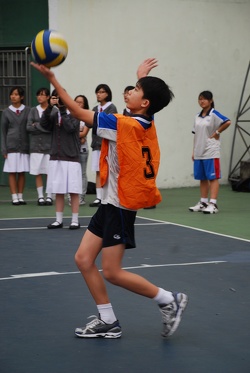 DSC 5269