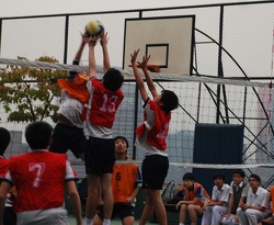 DSC 5396a