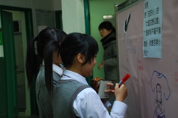 談談情說說性