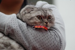 DSC_4402.JPG
