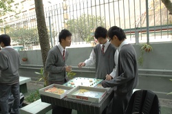 B01_0139.JPG