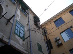 Shamian P13.jpg