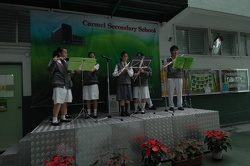 SD3_0434.JPG