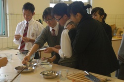 Chinese & History Club Home Economics Club-----中國傳統小食