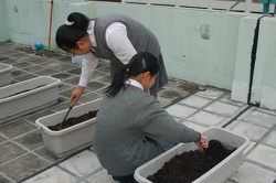 Horticulture Club-----Horticulture Class