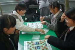 Chess Club-----Different Kinds of Chess for Fun!