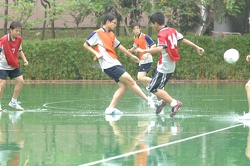 SD3_0129.JPG