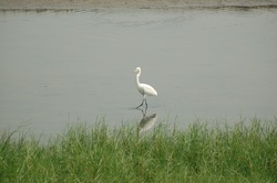 DSC_0104.JPG