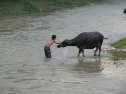 2006肇慶交流
