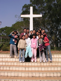 aed