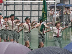 aae