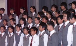 aea