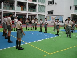 adg
