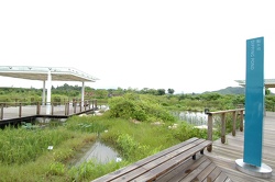 Wetland Park Experience