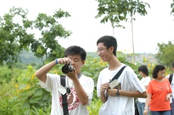 aba