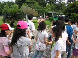 aav