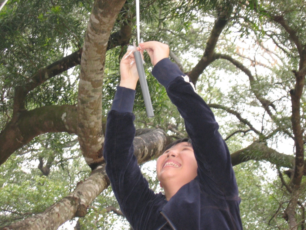 aam-805704038.jpg