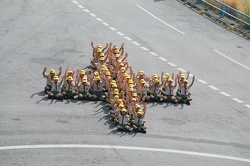 07370004.med.jpg