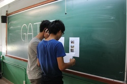 IMG 4510