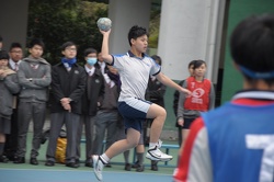 DSC 0245