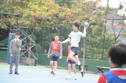 DSC 0244
