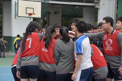 DSC 0250