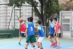 IMG 7178