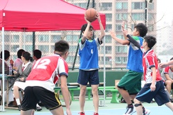 IMG 7195