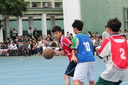 IMG 7281