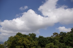 DSC09967