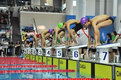 Swimming Gala 2013