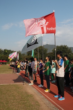 IMG 0329