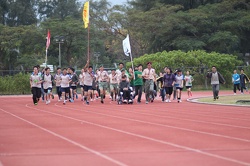 IMG 0870