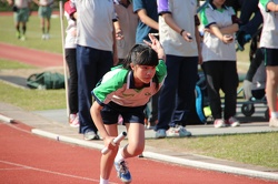 IMG 9690