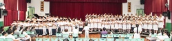 IMG 5294 s1